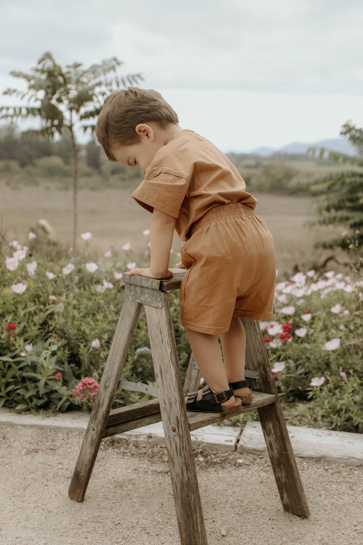 T-Shirt & Shorts Set - Feather Grey & Taupe
